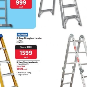 Ladder at Makro