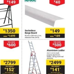 Ladder at Builders Warehouse