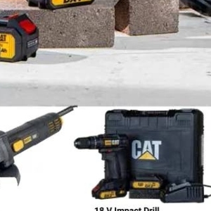  CAT at Builders Warehouse