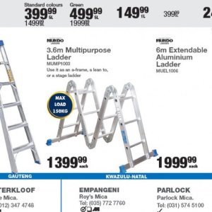 Ladder at Mica