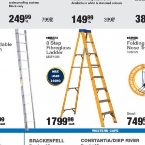 Ladder at Mica