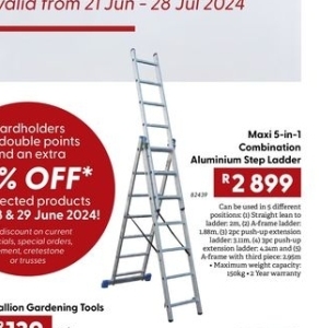 Ladder at Brights Hardware