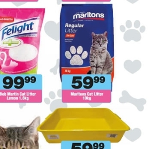 Cat litter at Check Star