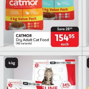  CAT at Makro