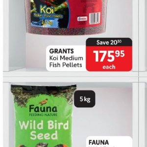 Fish at Makro