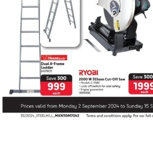 Ladder at Makro