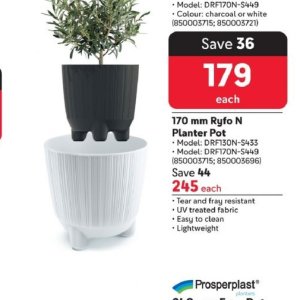 Pot at Makro