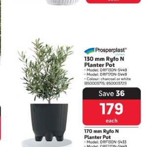 Pot at Makro