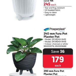 Pot at Makro