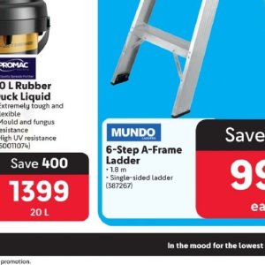 Ladder at Makro