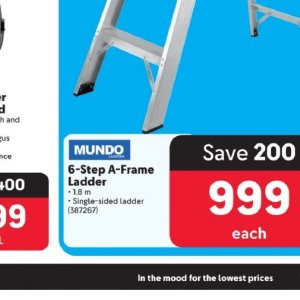 Ladder at Makro