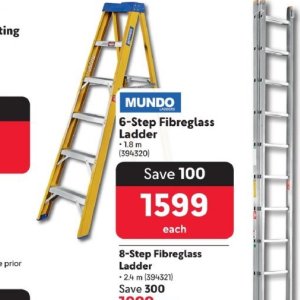 Ladder at Makro