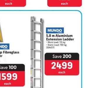 Ladder at Makro