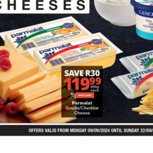 Gouda at Checkers