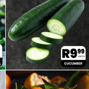 Cucumbers at Take n Pay