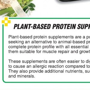  protein at Dis-Chem Pharmacies