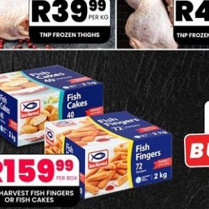 Fish at Take n Pay