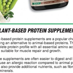  protein at Dis-Chem Pharmacies