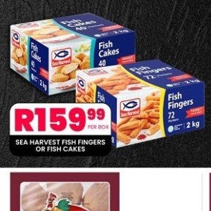 Fish at Take n Pay