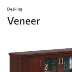 Veneer at Bidvest Waltons