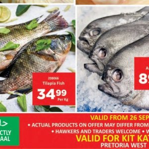 Fish at Kit Kat Cash&Carry