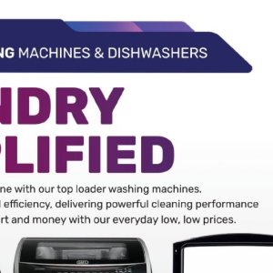 Dish-washing machine at Game