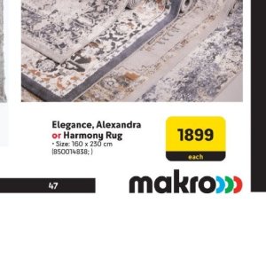 Rug at Makro