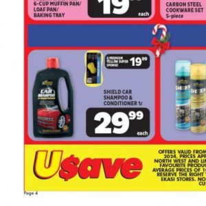 Car shampoo at Usave