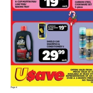 Car shampoo at Usave