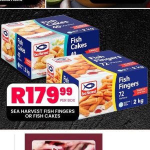 Fish at Take n Pay