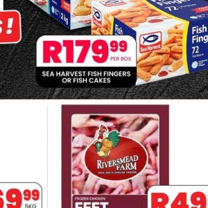 Fish at Take n Pay