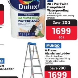 Ladder at Makro