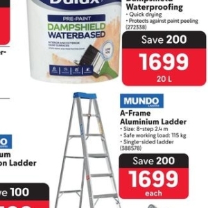 Ladder at Makro