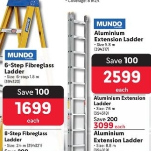 Ladder at Makro