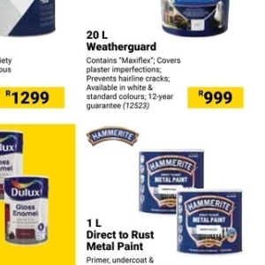 Paint at Builders Warehouse