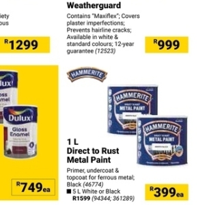 Paint at Builders Warehouse