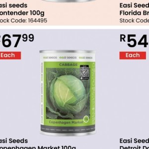 Cabbage at Africa Cash and Carry