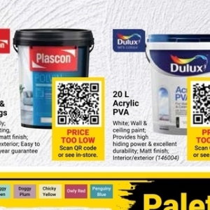 Paint at Builders Warehouse