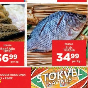 Fish at Kit Kat Cash&Carry