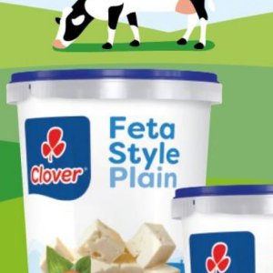 Feta at Checkers Hyper