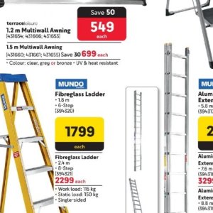 Ladder at Makro