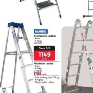 Ladder at Makro