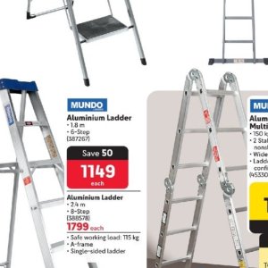 Ladder at Makro