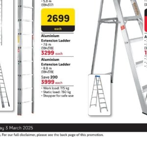 Ladder at Makro