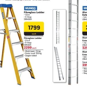 Ladder at Makro