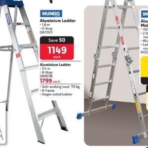 Ladder at Makro