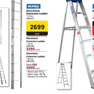 Ladder at Makro