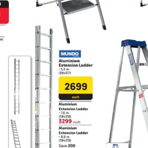 Ladder at Makro