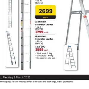 Ladder at Makro