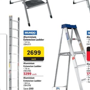 Ladder at Makro